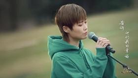 寻找奈良树花